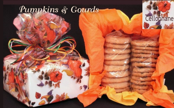 Box -Thanksgiving Pumpkins & Gourds Cello