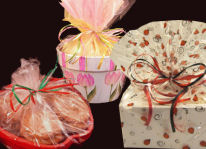 (image for) Spring & Summer